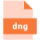 dng